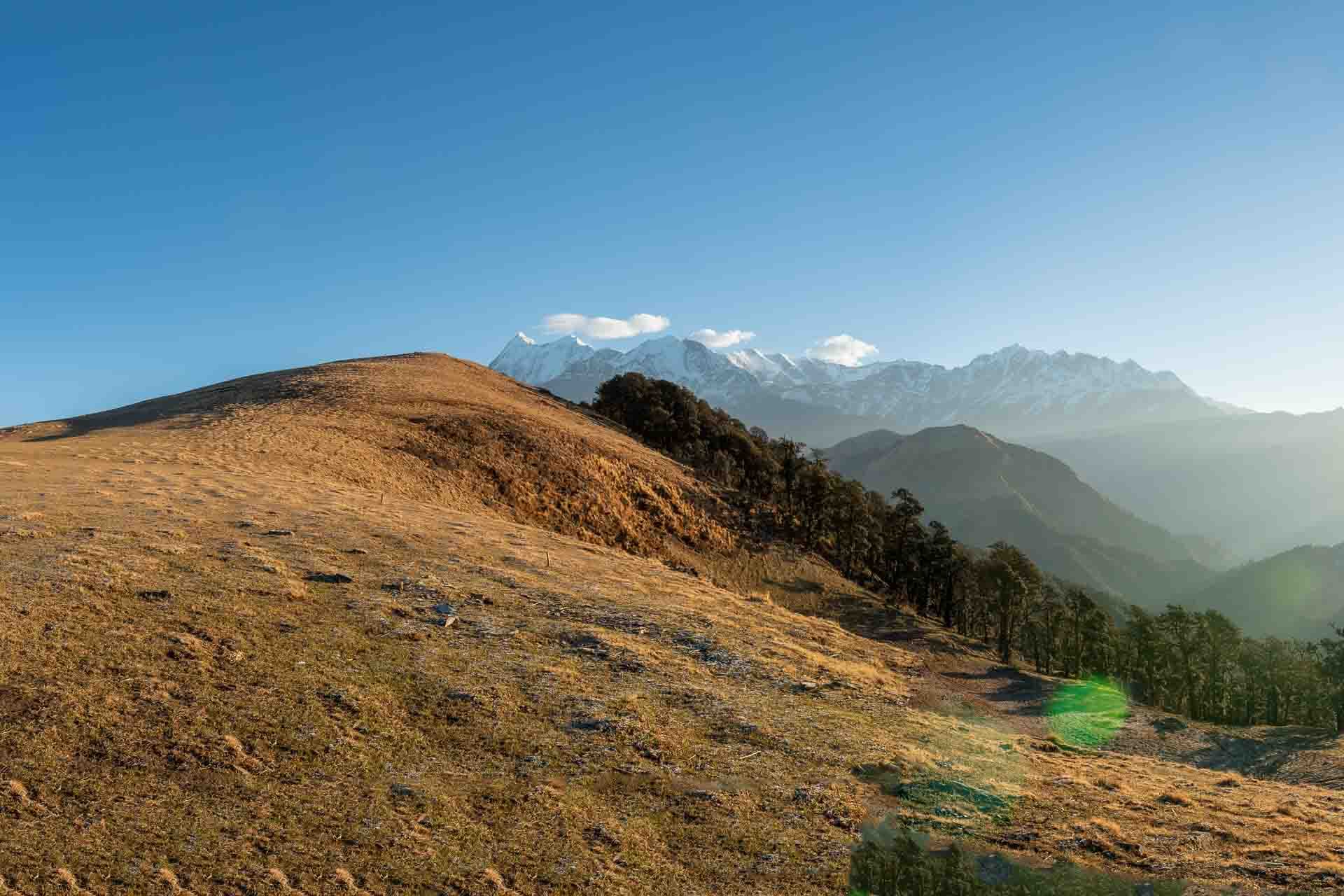 Autumnal grass on a mountain top