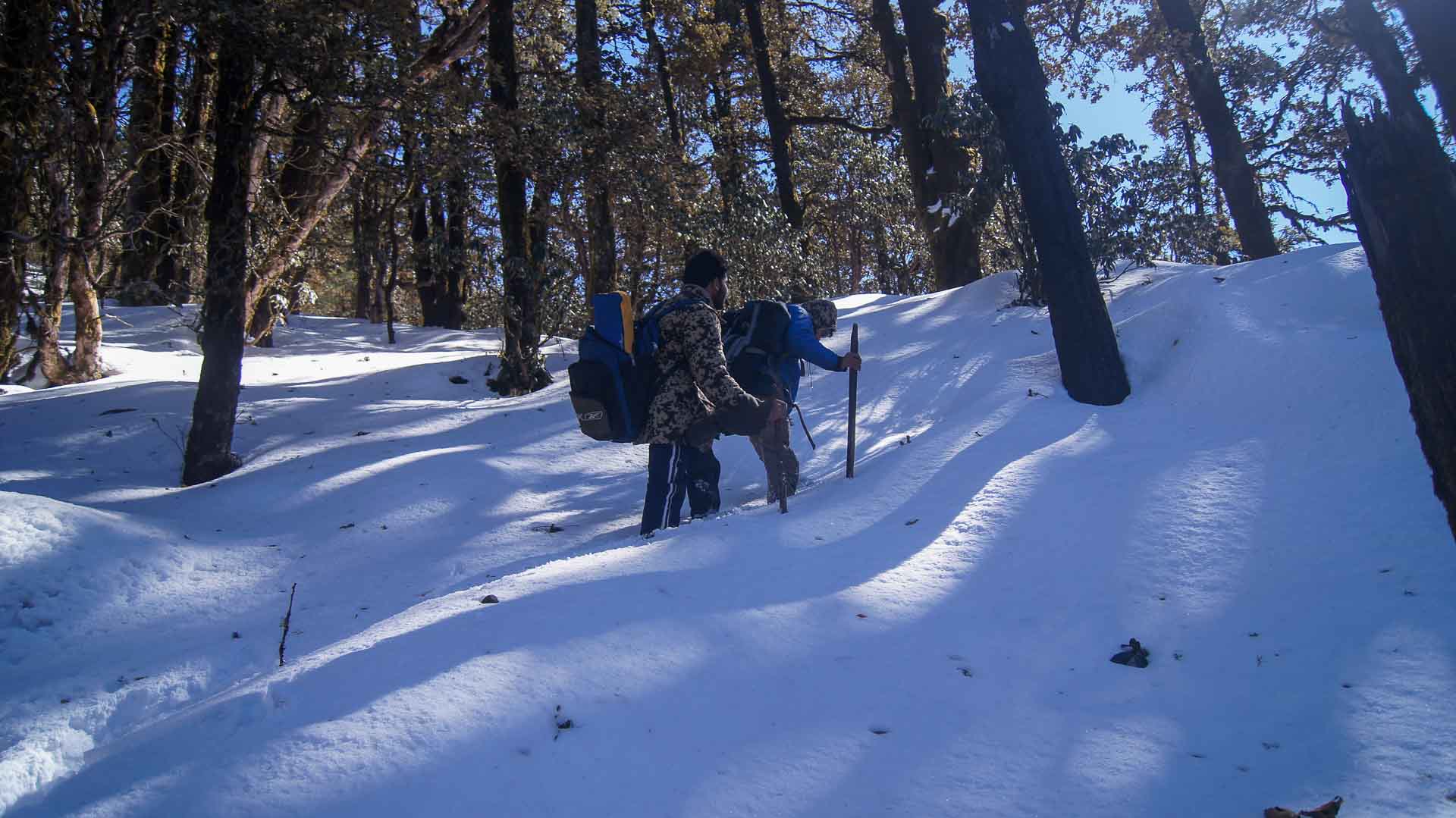 Two people hiking in a snowy forest