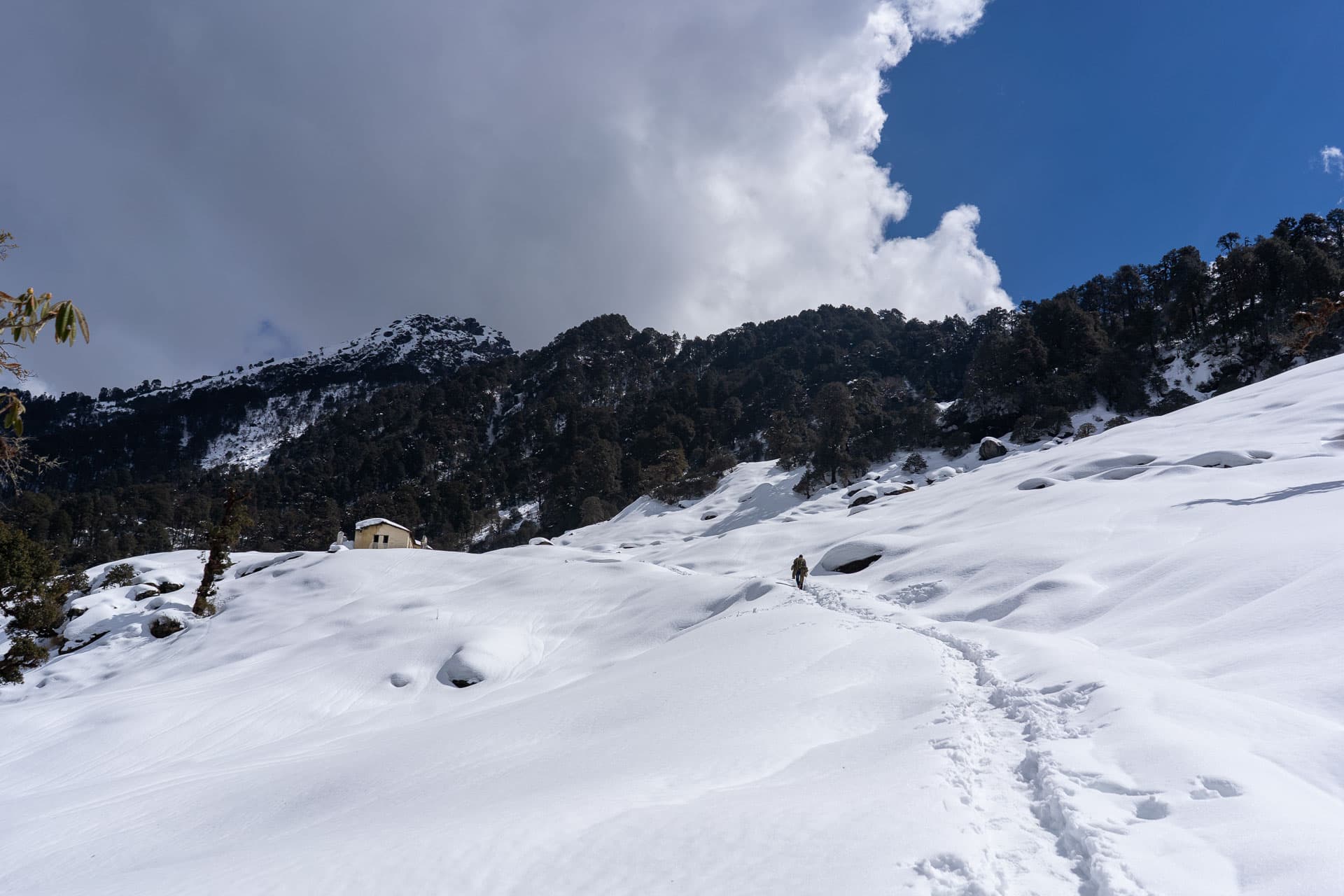 A person walking in a deep snowy path