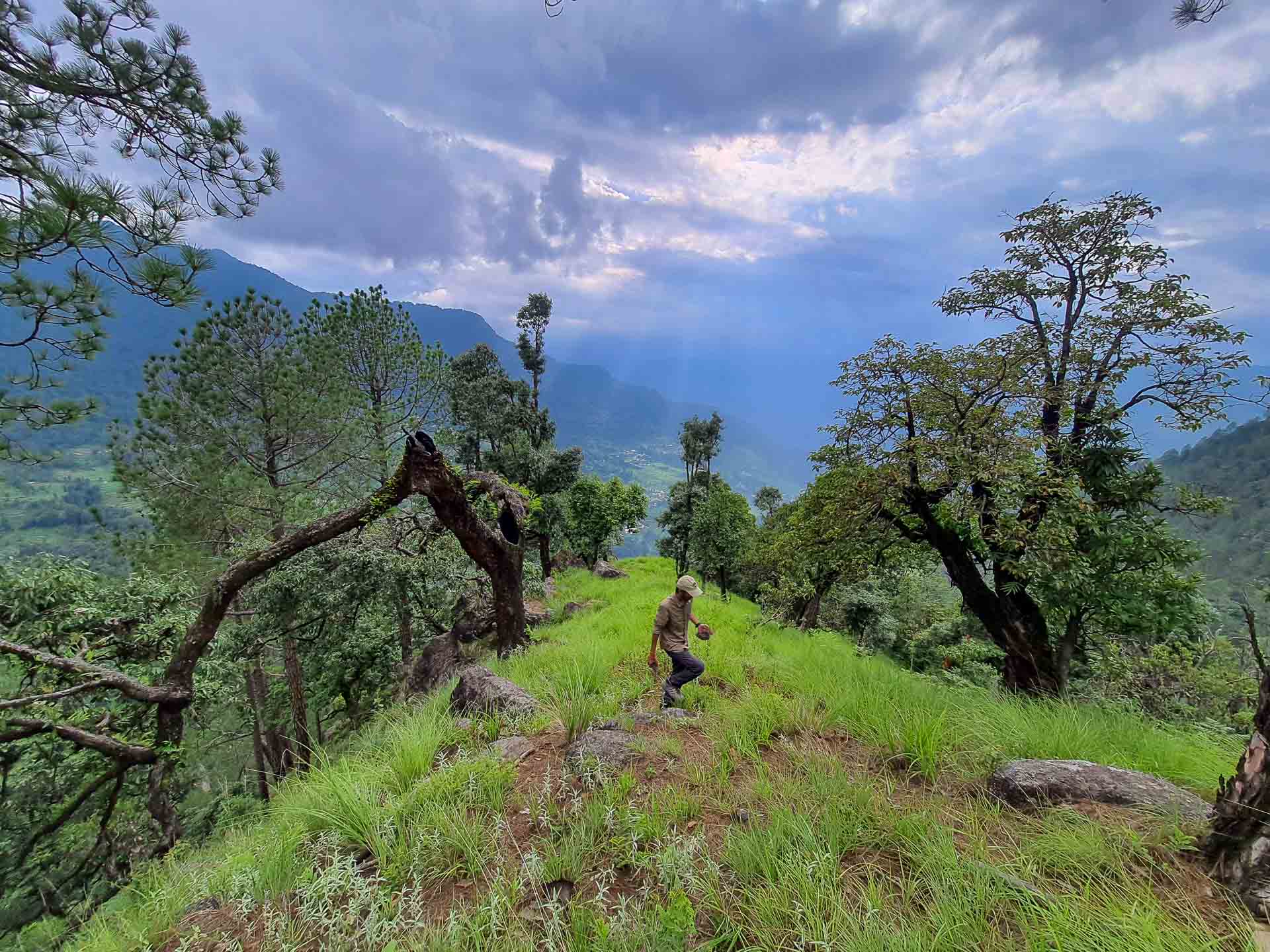 A person walking down a pathless trail