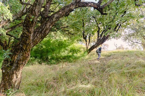 A person hiking in a field